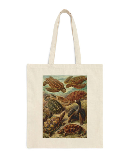 Turtle Varieties Canvas Tote