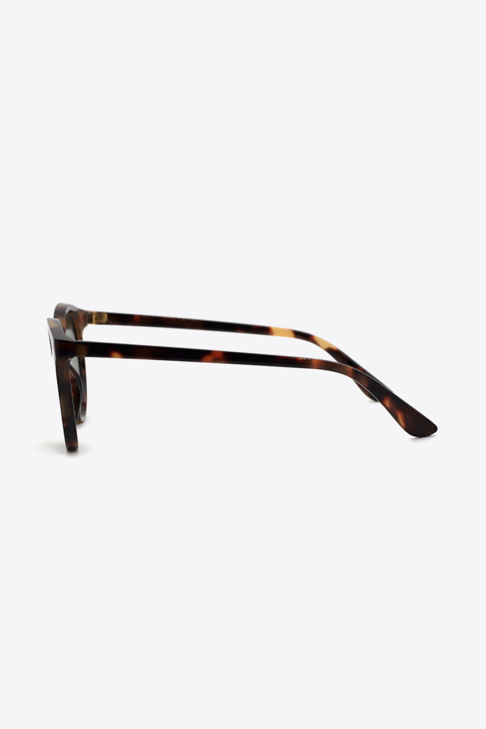 Tortoiseshell Wayfarers